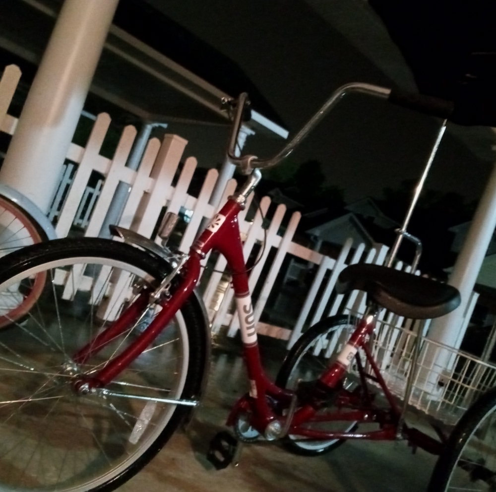 SUN 24 inch Trike bicycle with overhead canopy